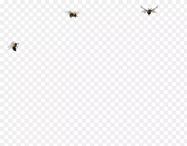 昆虫授粉器白线字体昆虫