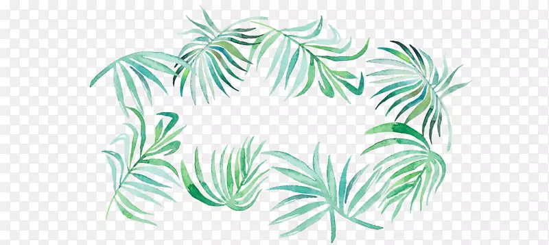 椰子树茎叶花椰子叶