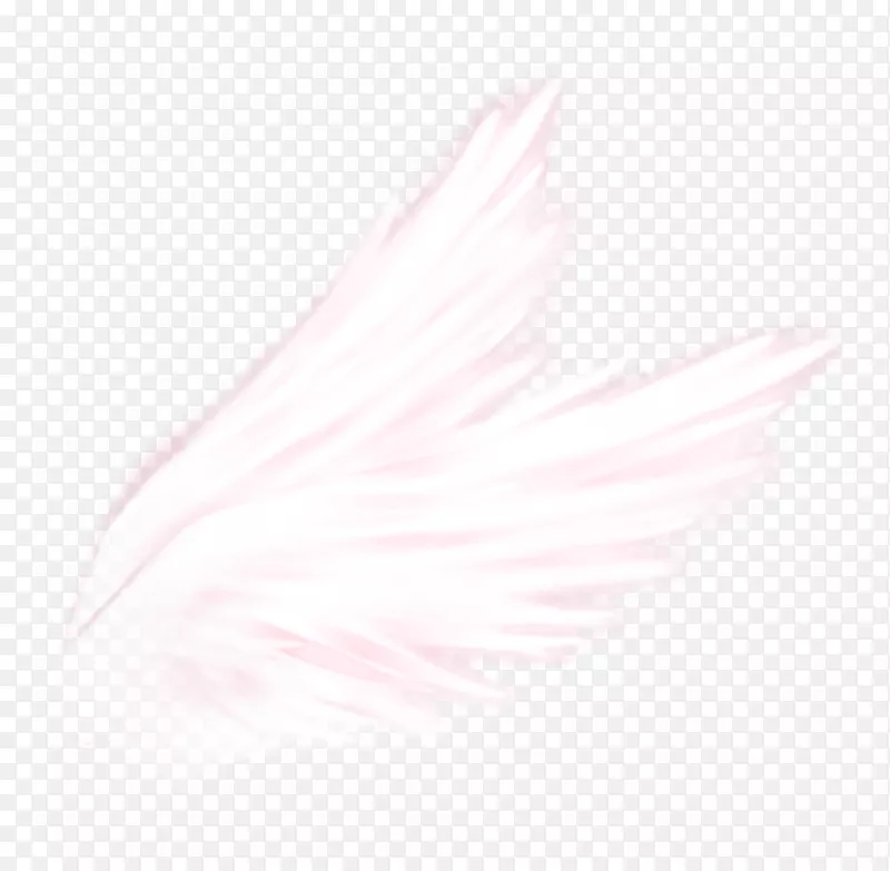 羽毛近身粉红色m-羽毛
