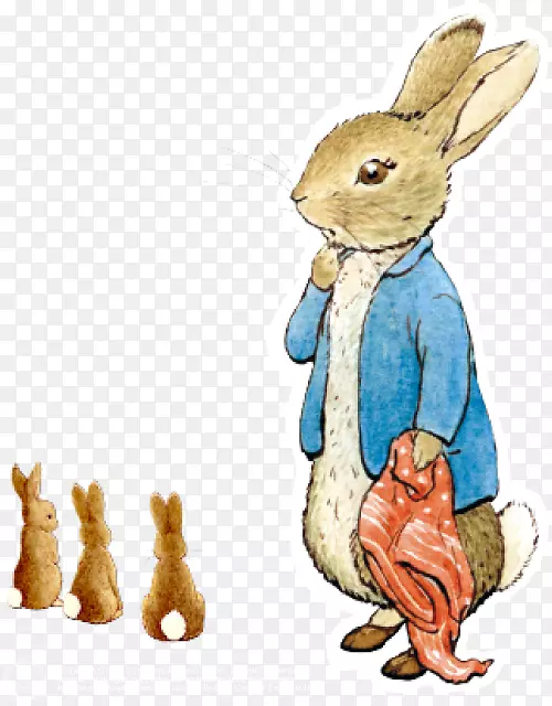 家养兔彼得兔子的故事-比阿特丽克斯波特彼得兔子