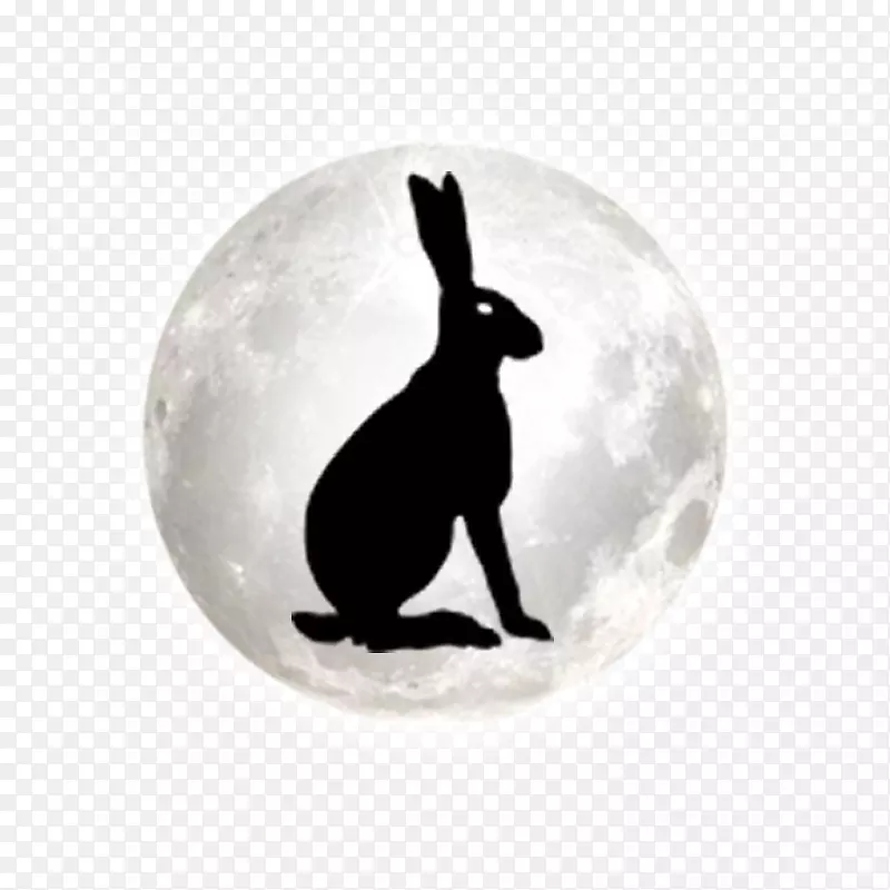 巨石阵免费节日野兔剪影-明月