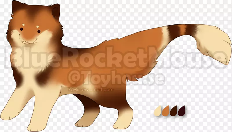胡须猫犬繁殖红狐猫