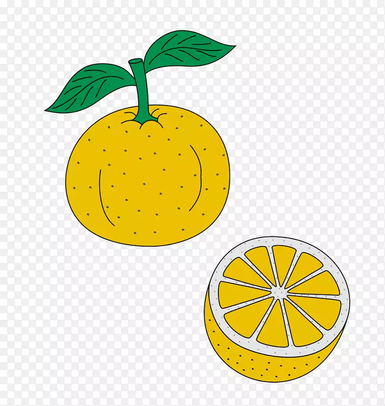 柠檬柑橘朱诺系列剪贴画-柠檬