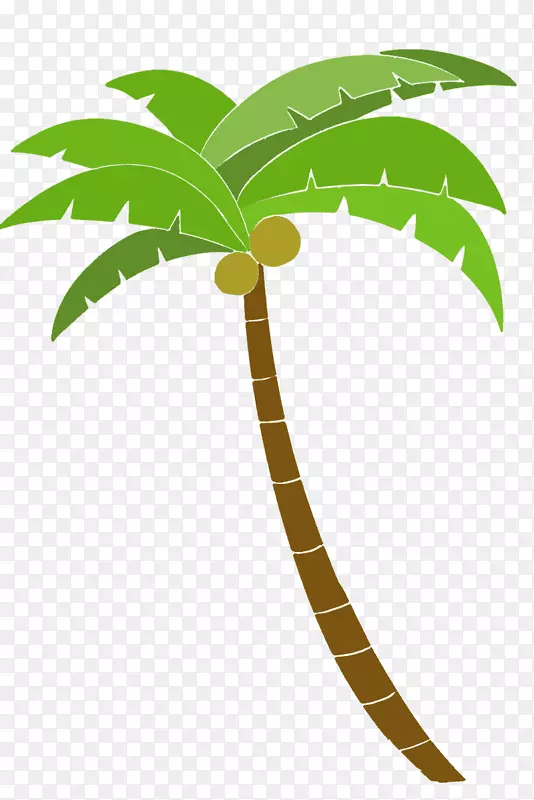 槟榔科插画树