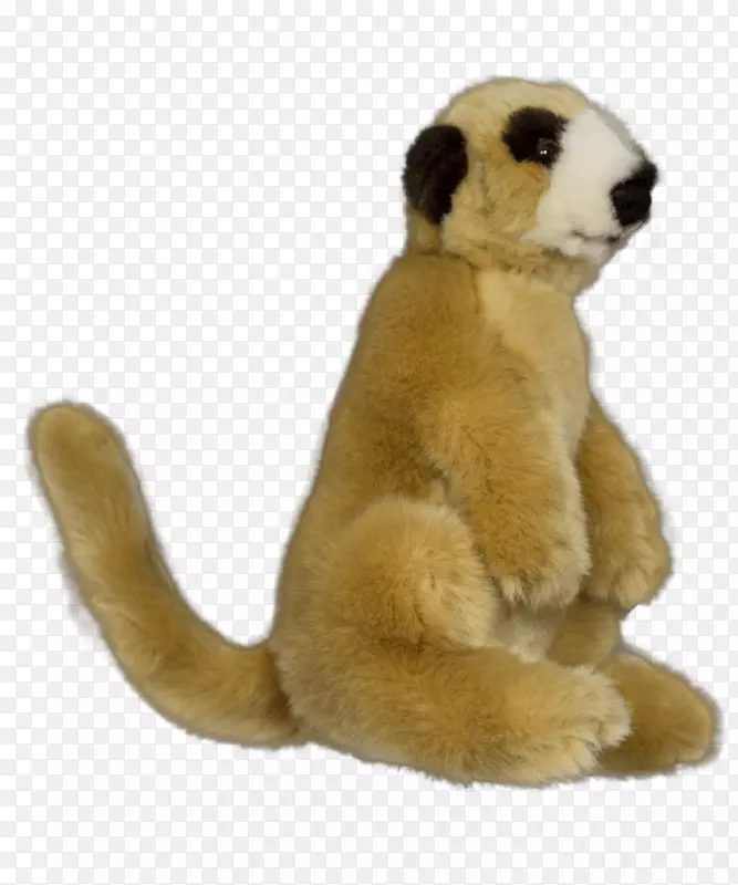陆生动物毛绒动物&可爱的玩具鼻子-杜雷尔野生动物保护信托基金