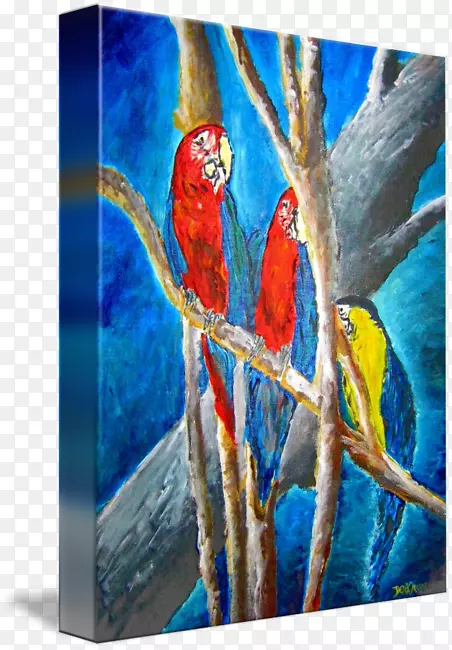 鹦鹉，丙烯酸油漆，鹦鹉.热带水彩