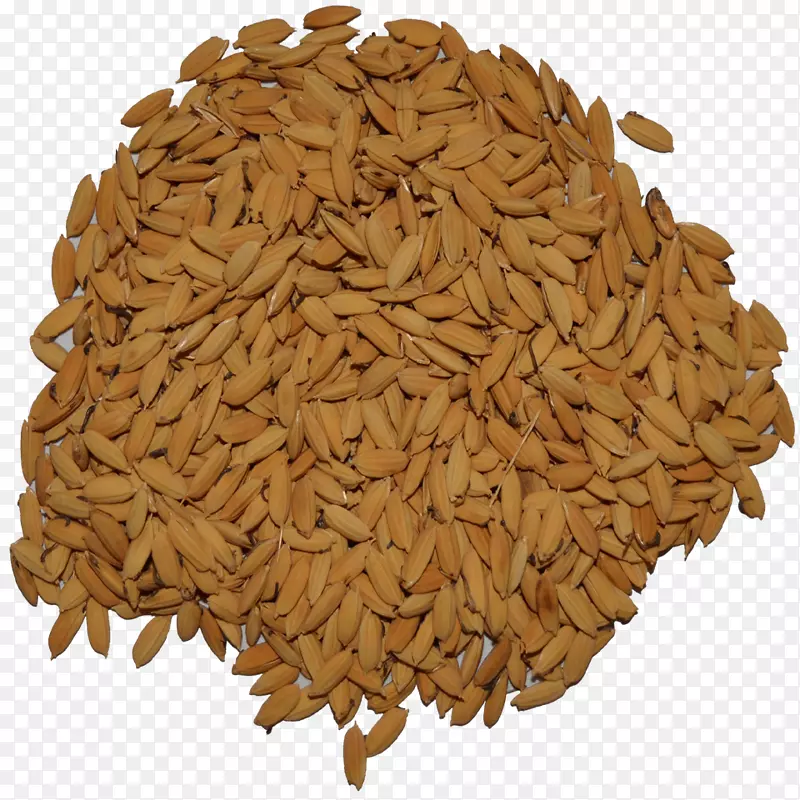 燕麦、麦芽、素食菜肴包括谷类食品-大米小麦。