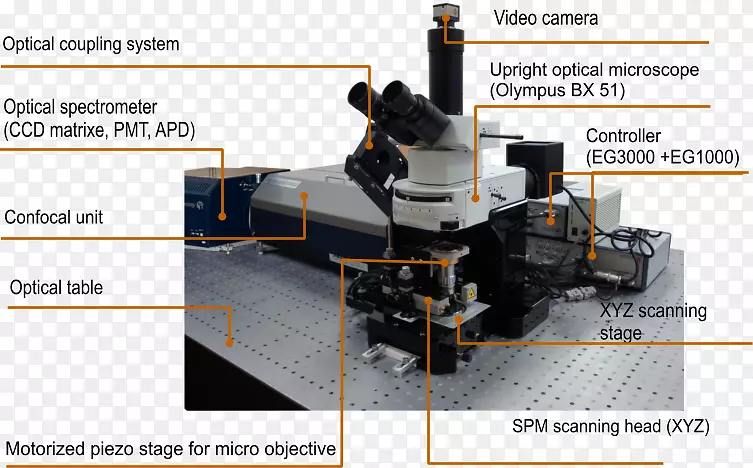 扫描探针显微镜扫描：扫描显微镜杂志扫描电子显微镜-纳米管