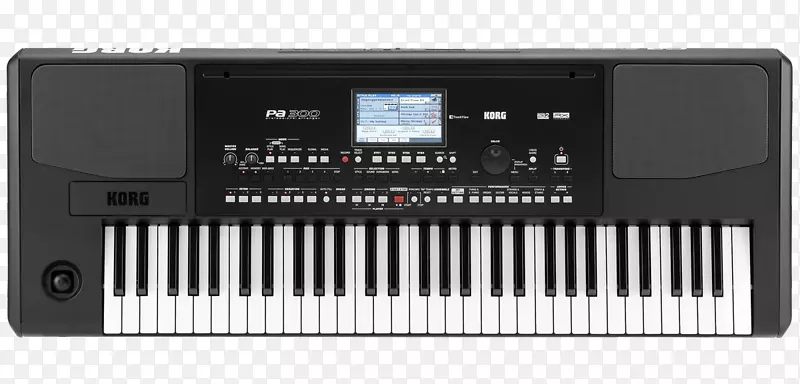 Korg pa 300声音合成器电子键盘音乐键盘.乐器