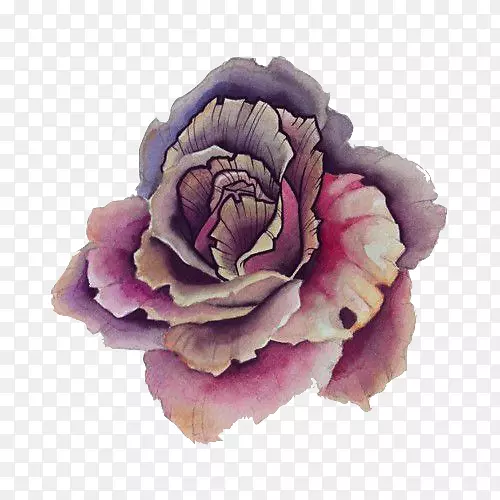贴纸花壁贴纸紫色玫瑰花