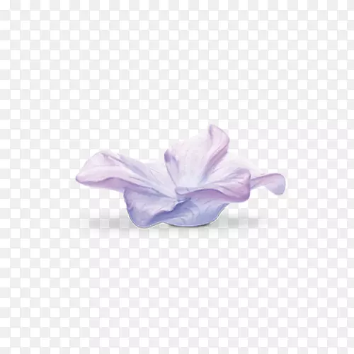 紫丁香花瓣紫罗兰