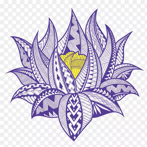 紫莲卡瓦吧太平洋岛屿开花植物-紫莲花