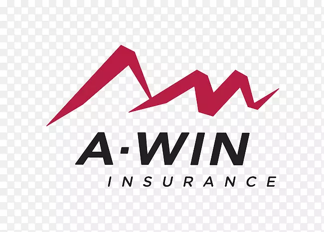 A-win保险有限公司保险代理业务财产保险-团队胜利