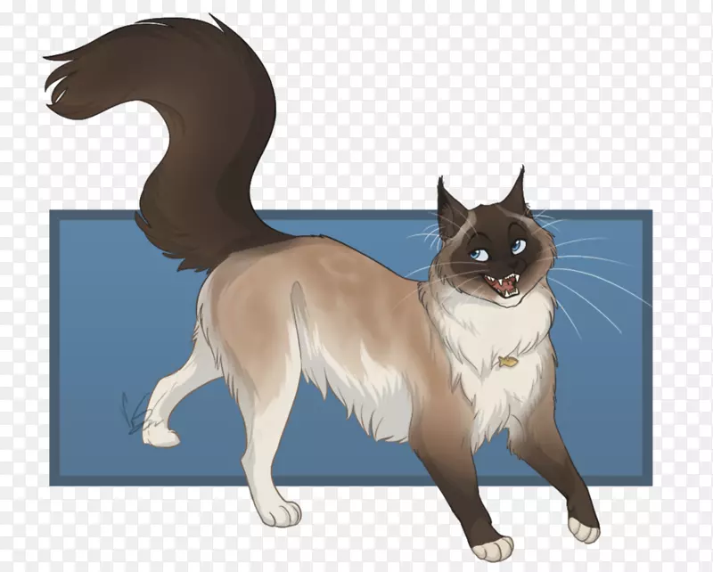 胡须猫艺术画猫