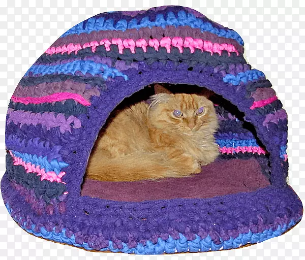 猫毛皮帽床猫