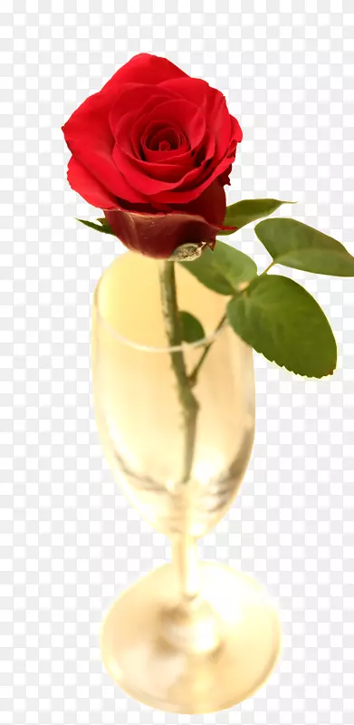 花园玫瑰花瓶切花花园花瓶