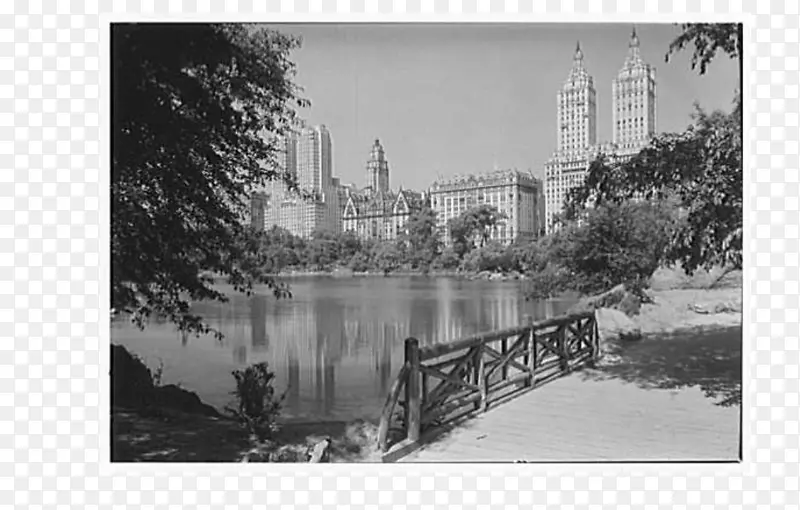 图片框收藏摄影白色中央公园