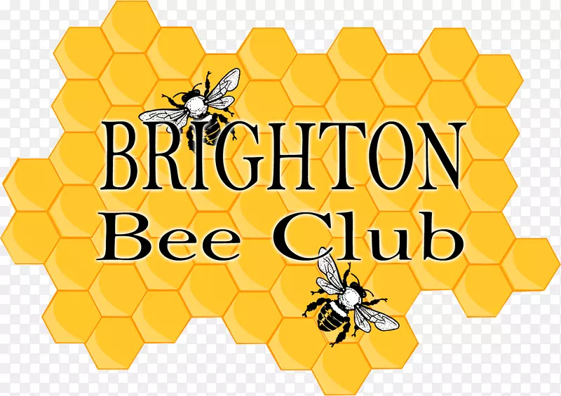 大俱乐部蜜蜂蜂巢-蜜蜂