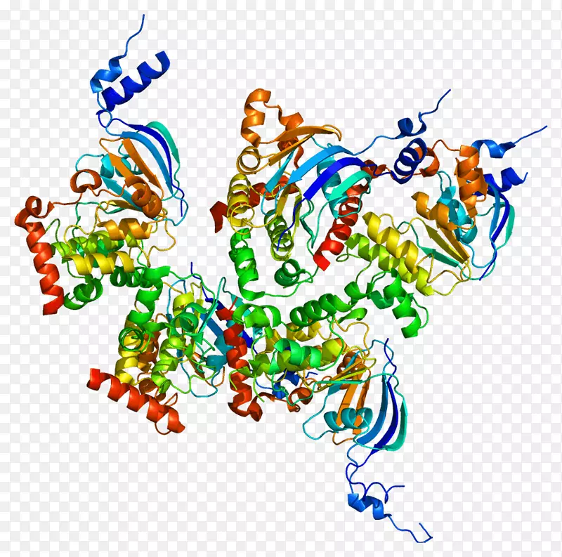囊性纤维化跨膜电导调节基因蛋白氯通道