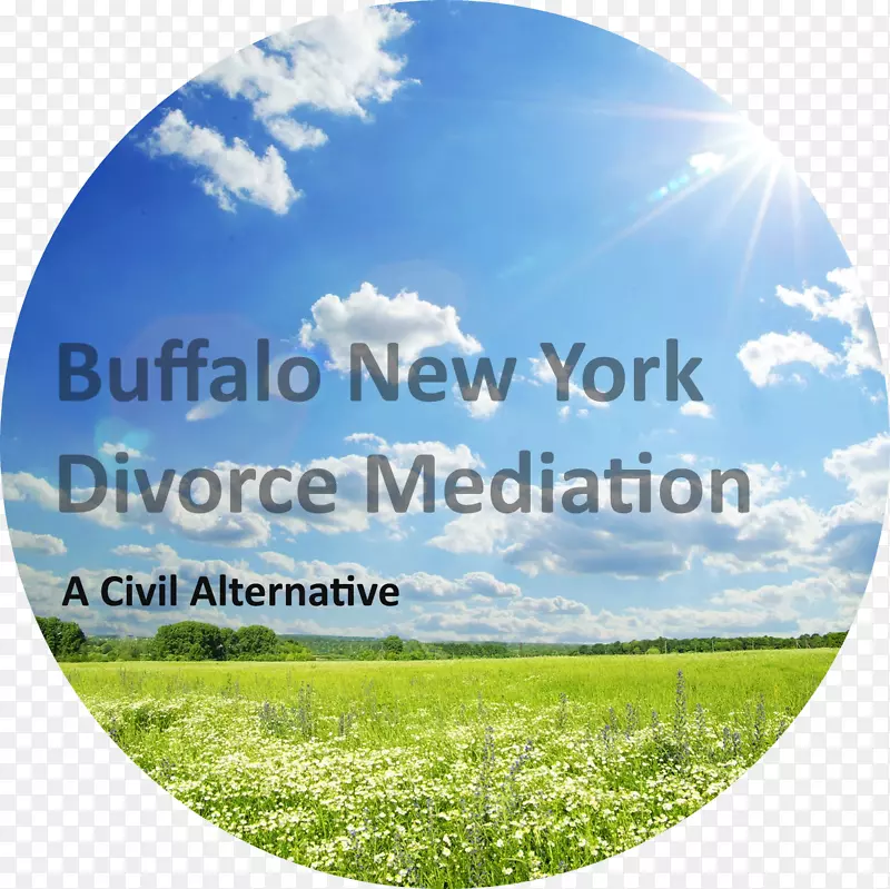 纽约州布法罗离婚调解-布拉斯代尔水牛，纽约离婚调解-汉堡-公证人