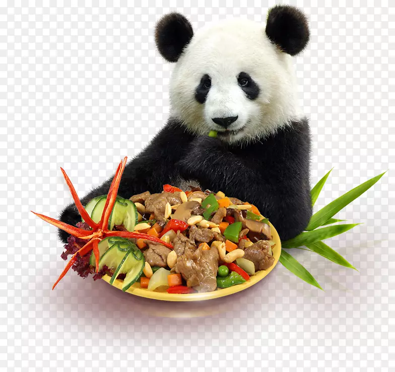 大熊猫oc varyáda rudolickákapitána jaroše多样化食品店