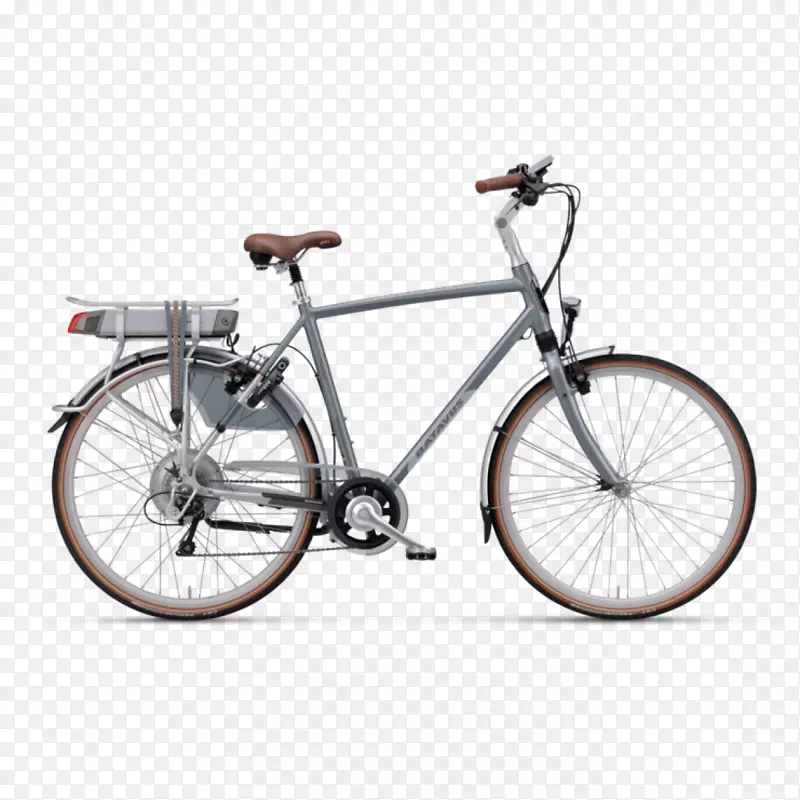 巴塔维斯电动自行车店荷兰-自行车