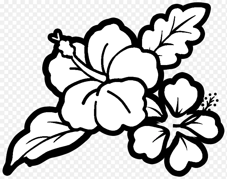 花卉设计视觉艺术叶花瓣-康乃馨