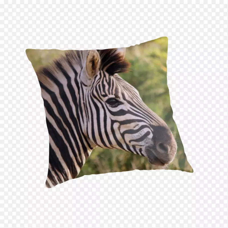 野生动物靠垫投掷枕头.枕头