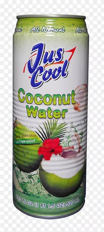 椰子汁汽水饮料风味果汁