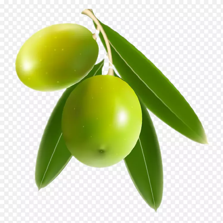 芒果本山橄榄夹艺术-芒果