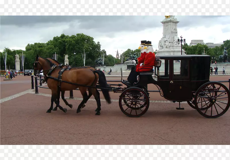 白金汉宫马和马车皇家马蹄维多利亚纪念馆，伦敦-马