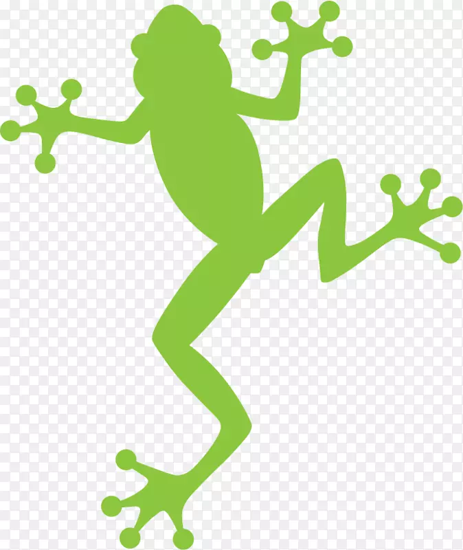 树蛙计划项目滑冰世界中心公司。-设计
