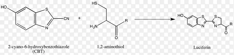 氨基氧化物喹喔啉衍生物