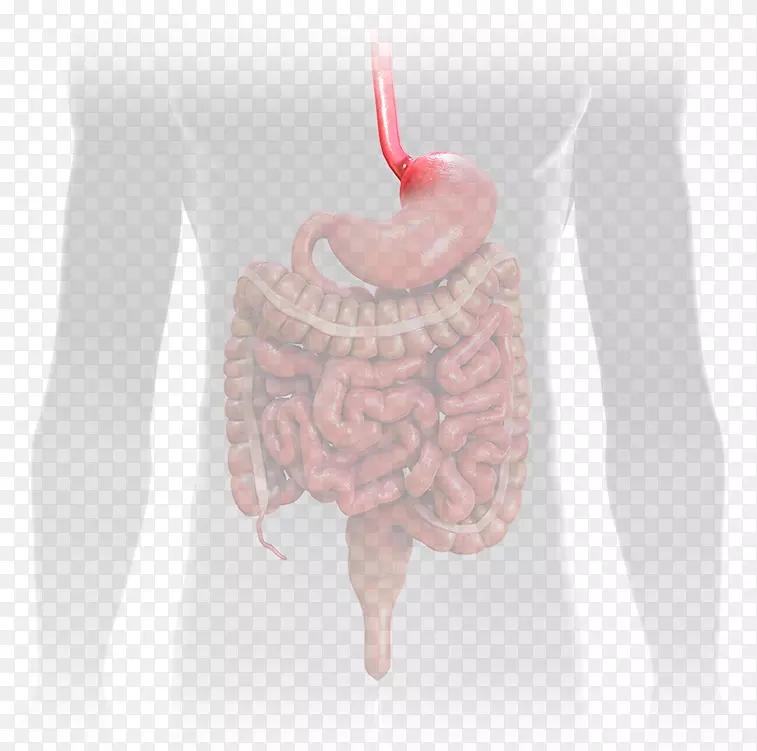 克罗恩病&结肠炎基础溃疡性结肠炎食管胃肠道食管