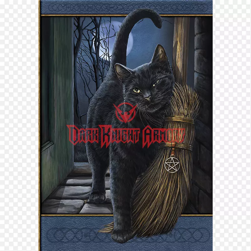 黑猫小猫巫术哥特式小说-猫