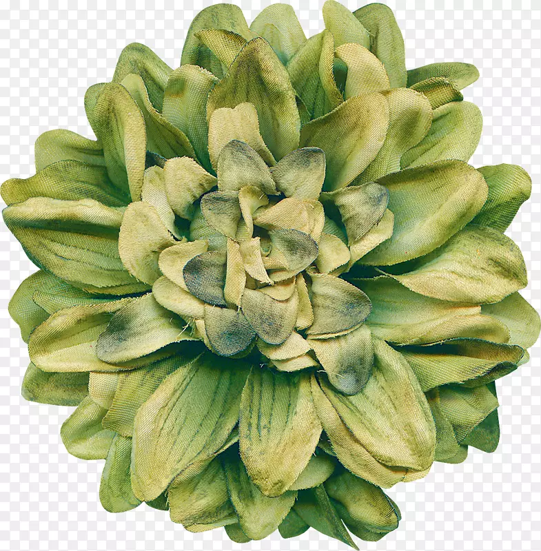 切花花束花型
