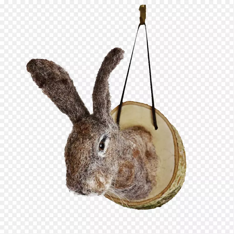 家兔毛毡兔欧洲兔