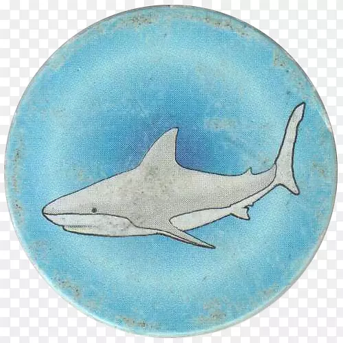 鲨鱼海洋生物海洋动物群-鲨鱼