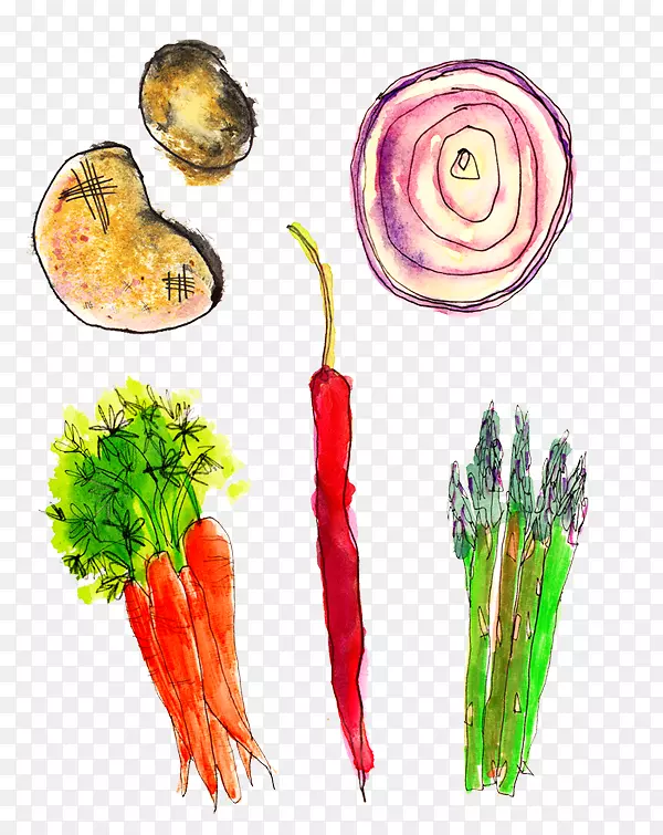 天然食品，饮食食品，超级食品，本地食品.蔬菜素描