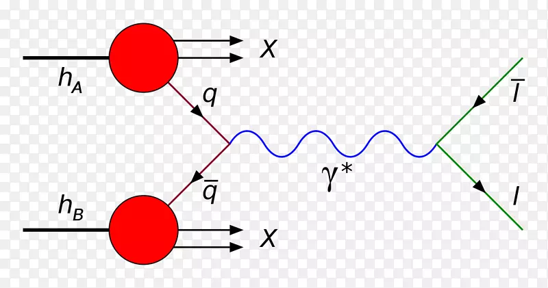 drell-yan过程w和z玻色子z夸克-同步加速器