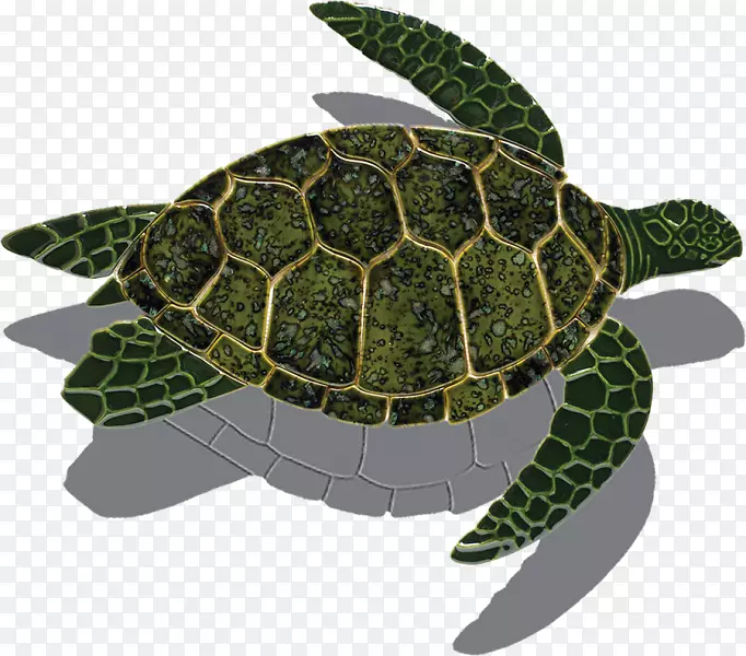 甲鱼龟绿海龟