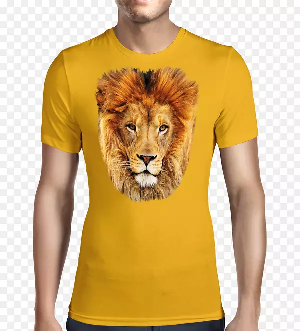 狮子t恤黄猫狮