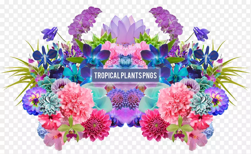 桌面壁纸花卉设计美学.画夏季热带植物