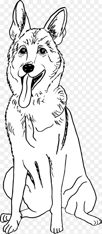 犬种红狐白线艺术犬