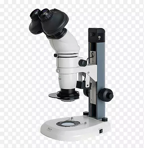 立体显微镜光学显微镜放大螳螂精英显微镜