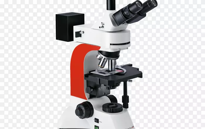 显微镜、免疫学、试管、细胞业务.显微镜