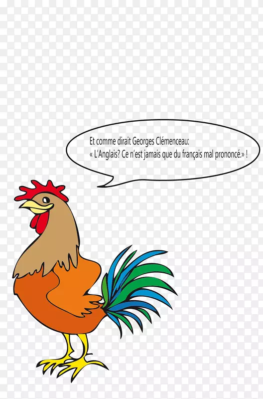 公鸡法语英语词汇-coq
