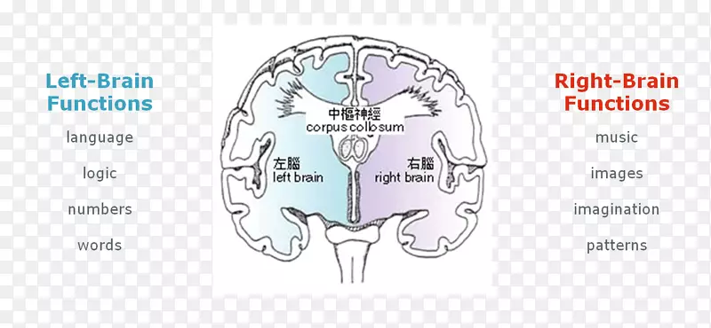 脑科技字体-大脑