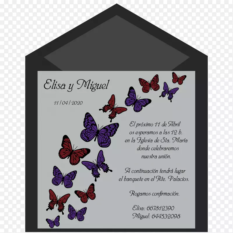 婚礼邀请函使蝴蝶和飞蛾的颜色-婚礼