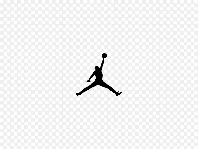 AIR Jordan Retro xii LOGO室内设计服务-iPhone黑色